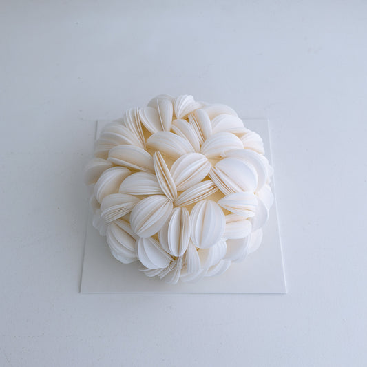 wafer paper cake auckland