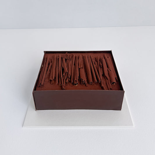 Tiramisu cake with chocolate sticks on a white background