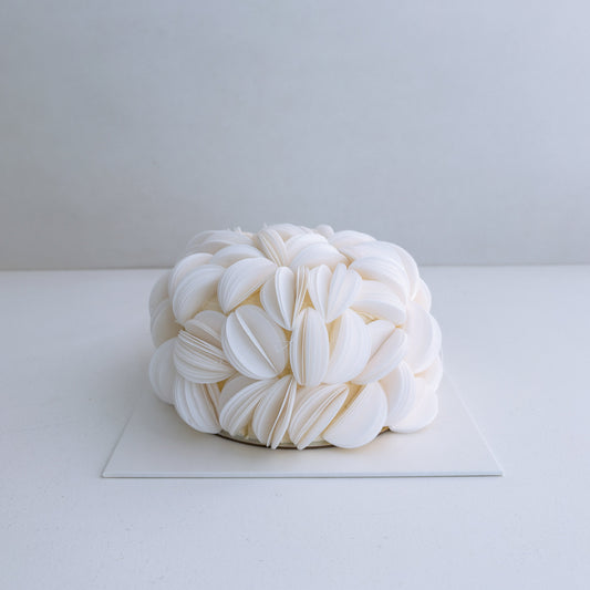 wafer paper cake auckland 